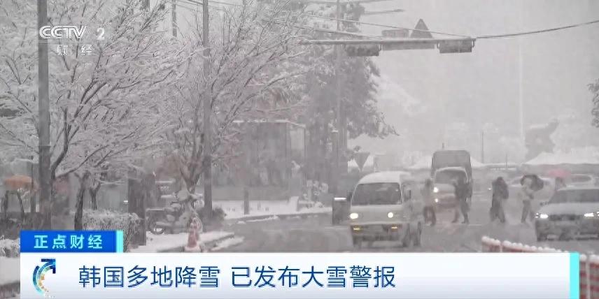 韩国首场大雪刷新117年记录，多地发布警报并引发多起致命事故  第1张