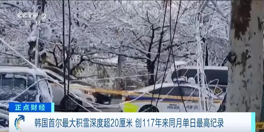 韩国首场大雪刷新117年记录，多地发布警报并引发多起致命事故  第2张