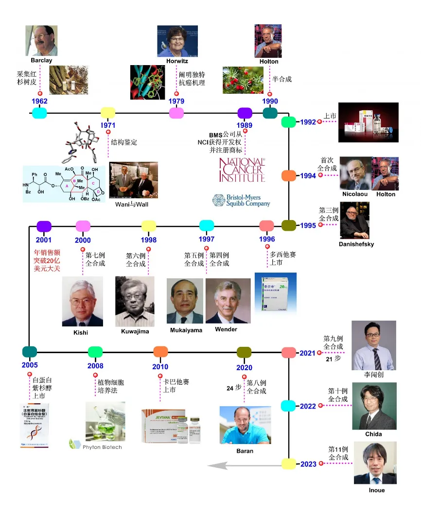 紫杉醇的来源与可持续获取挑战：癌症治疗中的双重作用机制  第2张