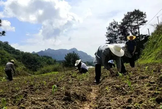 湖南旅游集团驻村工作队为民解忧，黄家坪村村民深表感谢  第1张