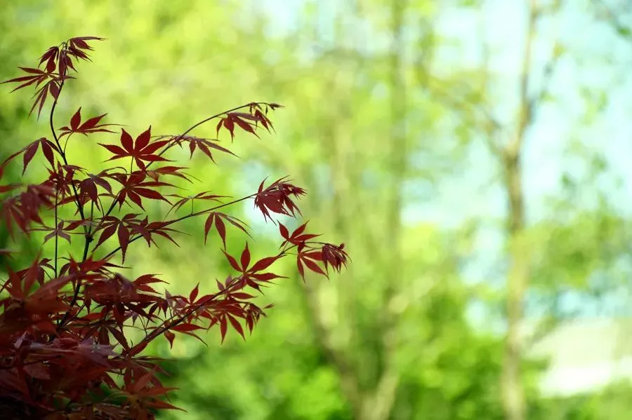 秋冬季节为何要养阴？中医理论解析秋冬养阴的重要性  第2张