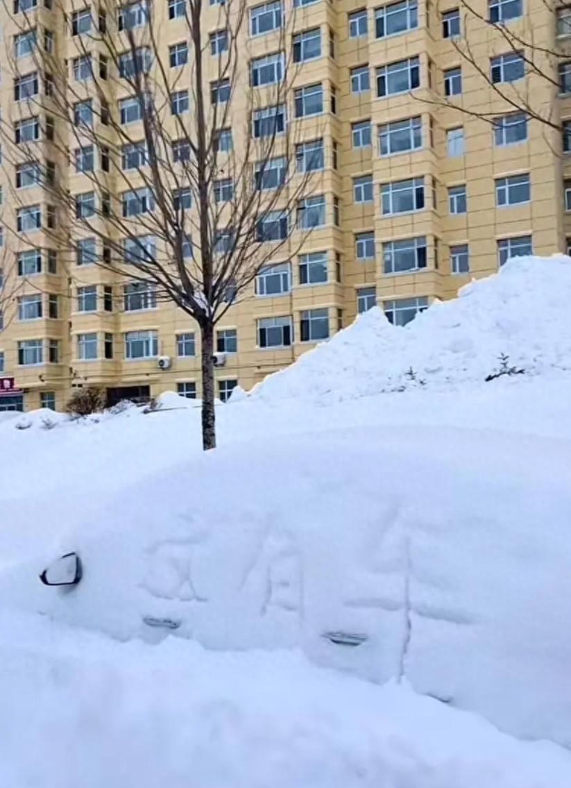 黑龙江省发布暴雪红色预警，鹤岗特大暴雪破历史纪录，交通逐步恢复  第1张