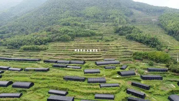 探索宁波生物多样性风景线：体验自然魅力与别致美景  第2张