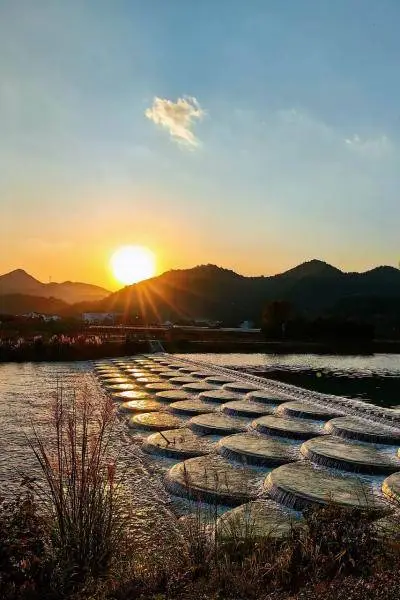 探索宁波生物多样性风景线：体验自然魅力与别致美景  第4张