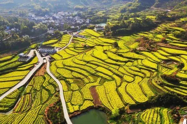 探索宁波生物多样性风景线：体验自然魅力与别致美景  第5张