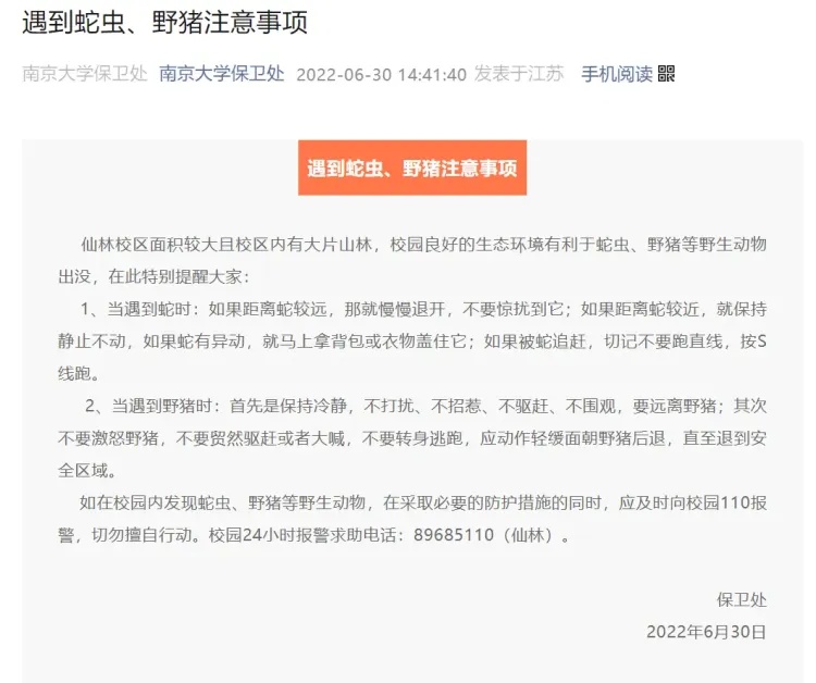 安徽池州职业技术学院校园惊现野猪横冲直撞，校方发布安全提示  第6张