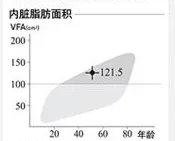 揭秘男女肥胖差异：为何男性胖肚子，女性胖臀部和大腿？  第3张