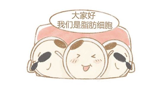 断崖式降温下的胖子与瘦子：谁更不怕冷？揭秘脂肪抗冻真相  第2张