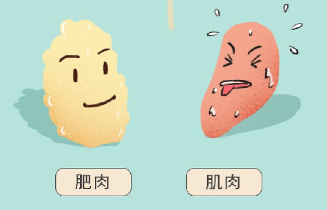 断崖式降温下的胖子与瘦子：谁更不怕冷？揭秘脂肪抗冻真相  第3张