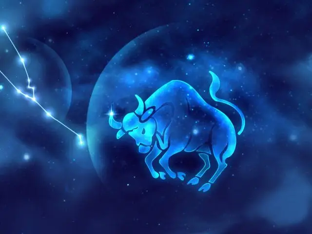 现代社会中的孤独与爱情：四个星座女性的独特视角  第1张
