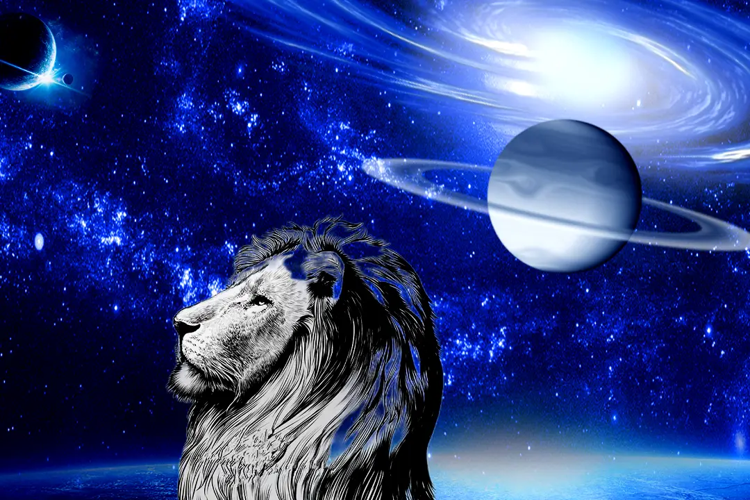 现代社会中的孤独与爱情：四个星座女性的独特视角  第2张
