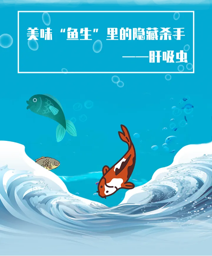 深圳一家三口因食用鱼生感染肝吸虫病，警惕淡水鱼生食品安全  第1张