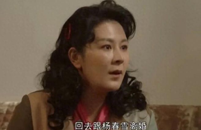 故乡的泥土大结局：条子为求子不惜离婚，投资皮包公司引发波澜  第2张