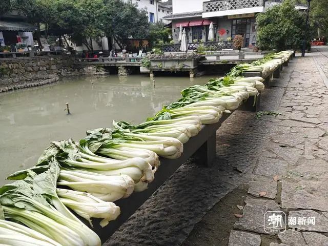 杭州冬腌菜5元/斤热销，搭配冬笋成黄金搭档，家家户户必备美味  第3张