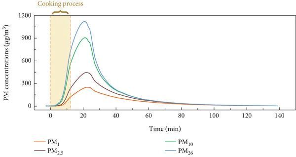 空气炸锅烹饪对室内空气质量的影响：伯明翰大学最新研究揭示颗粒物排放  第5张