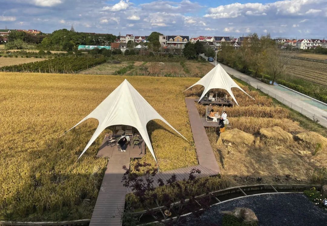 探索海派乡村新生活：躺稻田里的咖啡驿站与沪郊新画卷  第1张