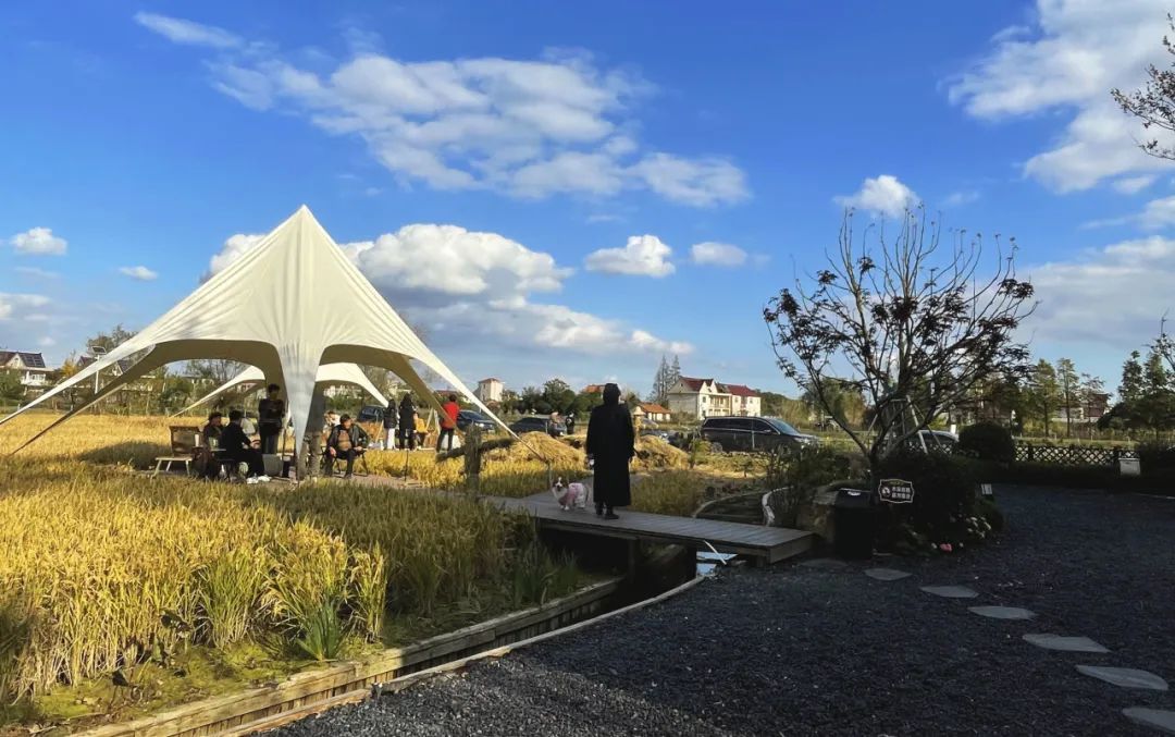 探索海派乡村新生活：躺稻田里的咖啡驿站与沪郊新画卷  第2张