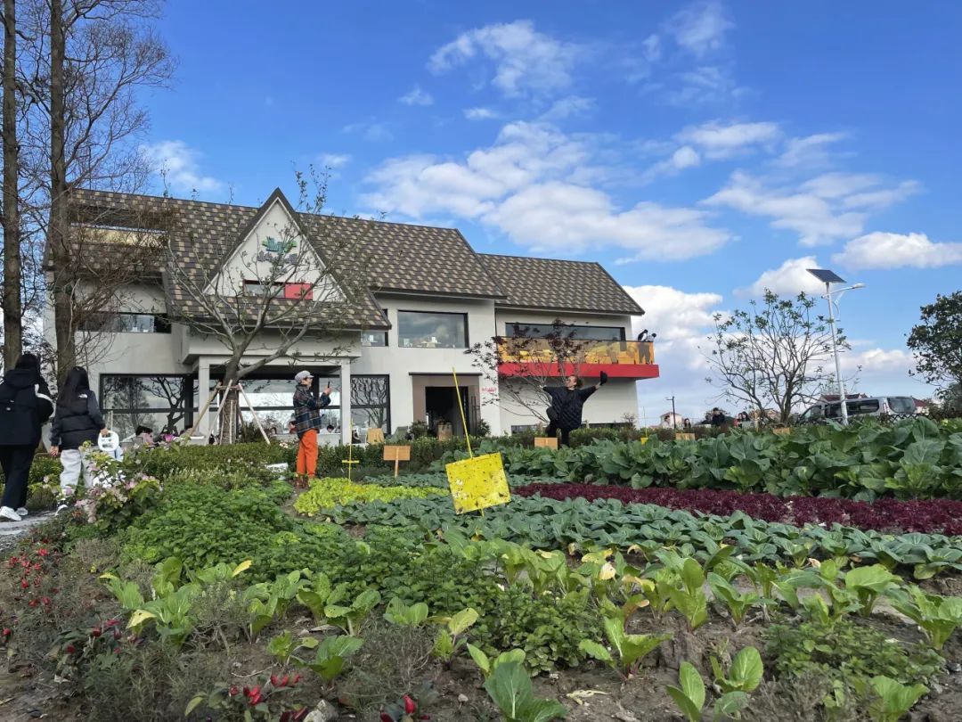 探索海派乡村新生活：躺稻田里的咖啡驿站与沪郊新画卷  第3张