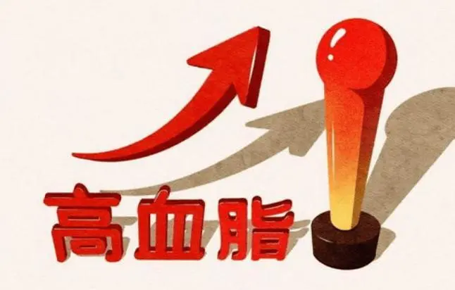 高血脂:认识你的隐形敌人,保护心血管健康  第2张 高血脂:认识你的隐形敌人,保护心血管健康  第2张