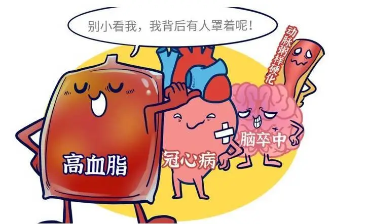 高血脂:认识你的隐形敌人,保护心血管健康  第4张 高血脂:认识你的隐形敌人,保护心血管健康  第4张