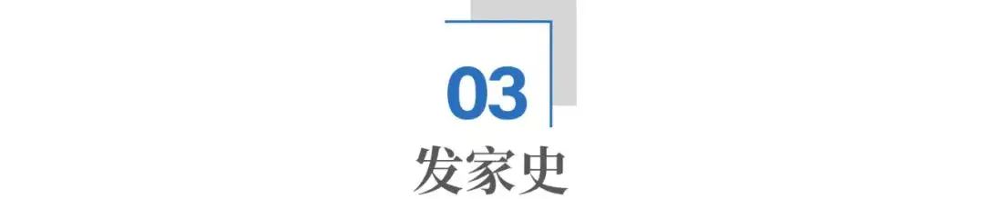 全球四大检测机构百年不衰，胖东来超市严格检测标准赢得消费者信赖  第4张