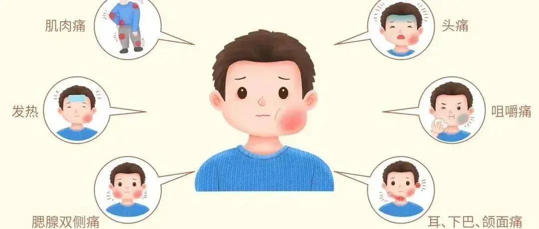 冬春季呼吸道疾病高发季：流行性腮腺炎防控知识与疫苗接种指南  第2张