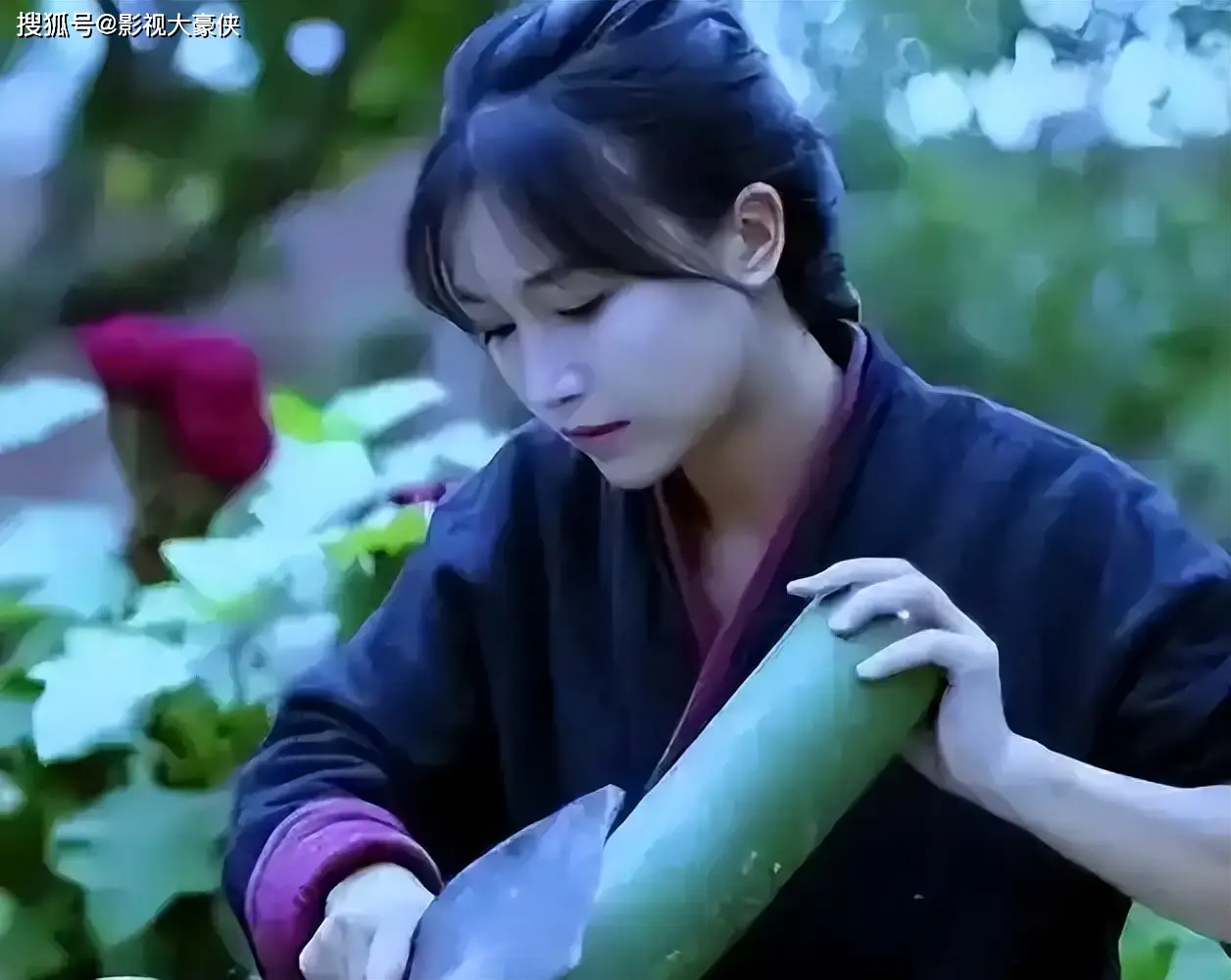 李子柒停更三年后强势回归，粉丝暴涨，央视力挺，与王冰冰同框引热议  第14张