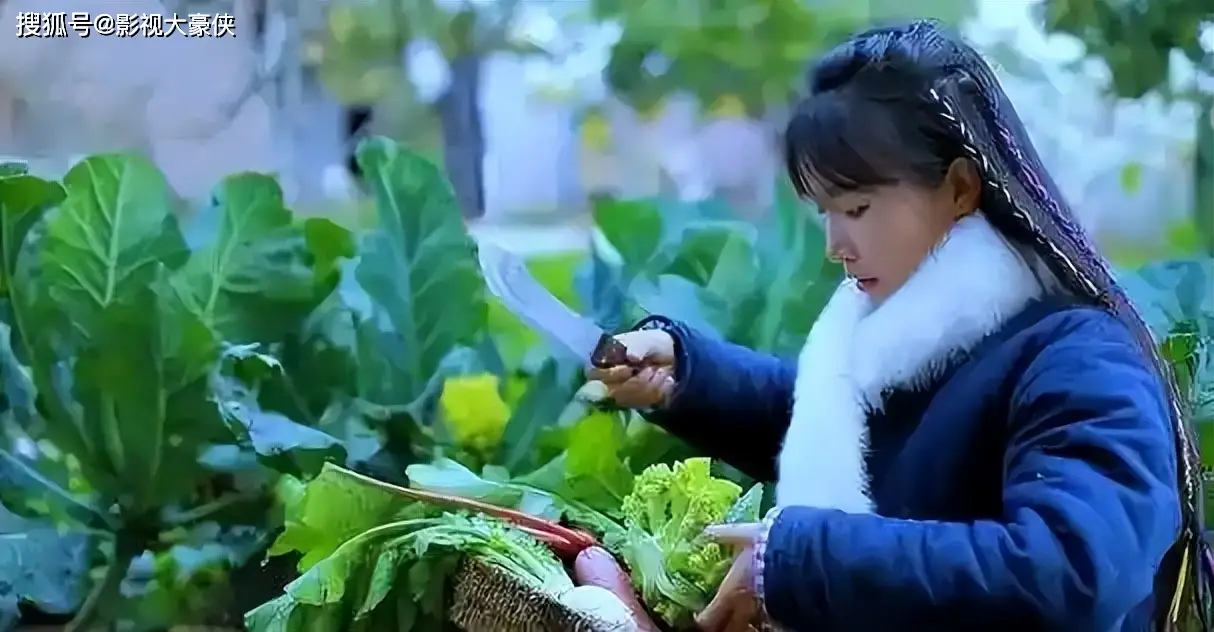 李子柒停更三年后强势回归，粉丝暴涨，央视力挺，与王冰冰同框引热议  第18张