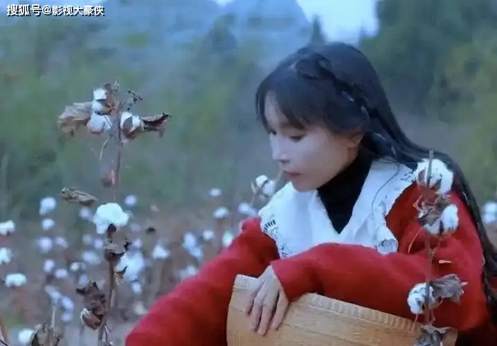 李子柒停更三年后强势回归，粉丝暴涨，央视力挺，与王冰冰同框引热议  第8张