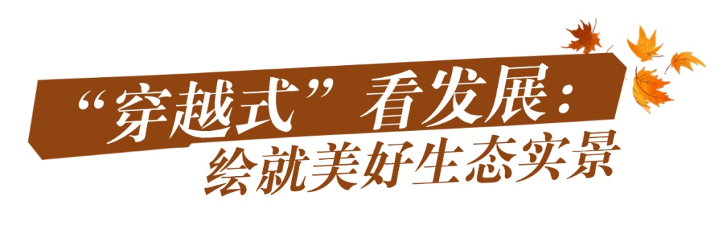 桃浦镇重温诗仙风华，共赏桃溪之韵，打造生态绿色古风舞台  第2张