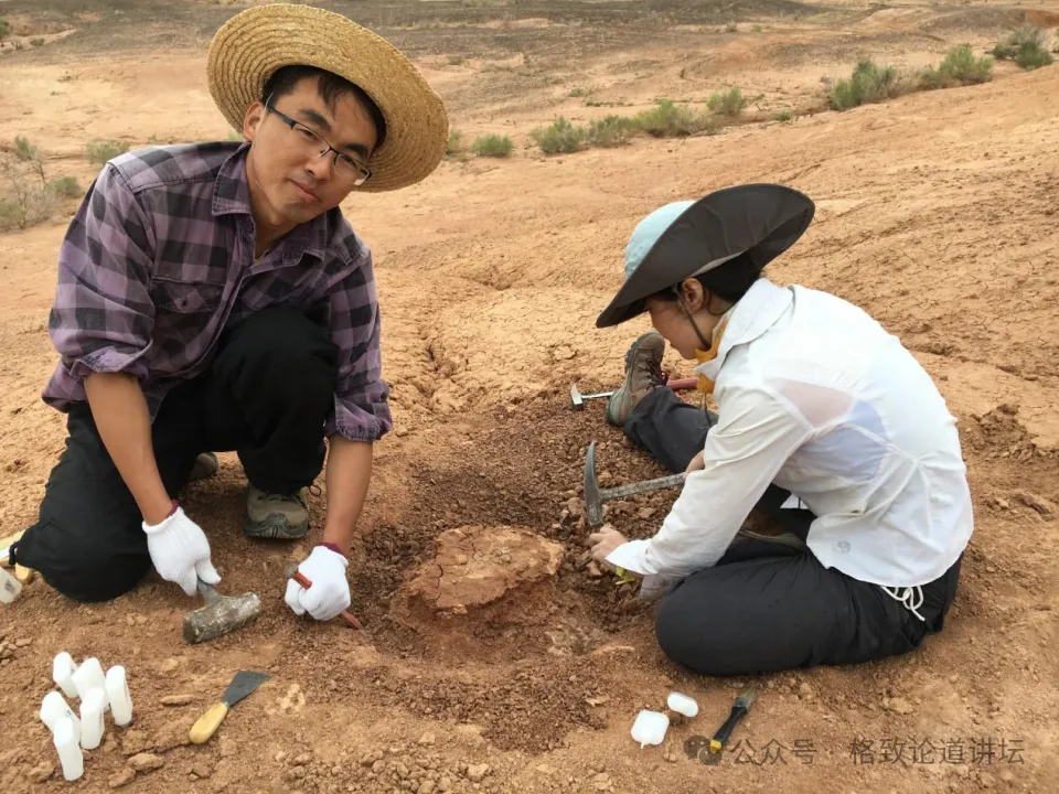 化石侦探张立召：在青藏高原与山洞中寻找恐龙蛋与鱼化石的奇妙旅程  第11张