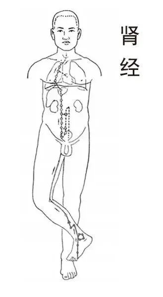 中医视角：阳亢体质易长结节，专家支招预防与减少结节出现  第3张