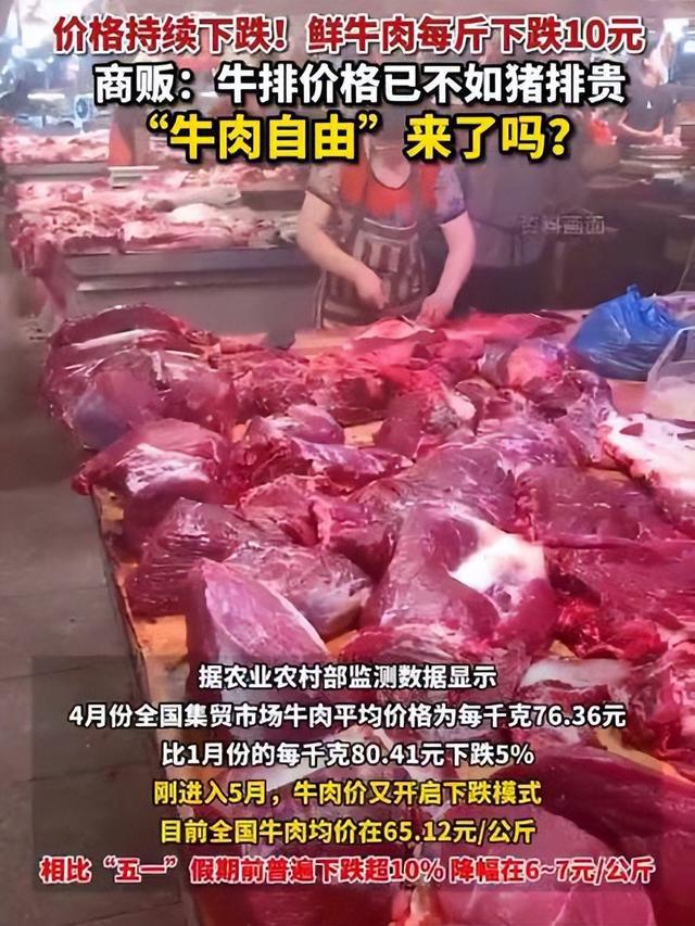 阿根廷牛肉白菜价出口中国：经济现实与海运成本优势的深度解析  第2张