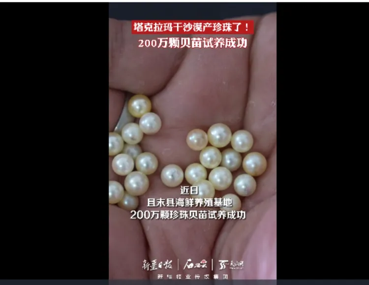 塔克拉玛干沙漠惊现21个小型湖泊，沙漠变绿洲的奇迹  第3张