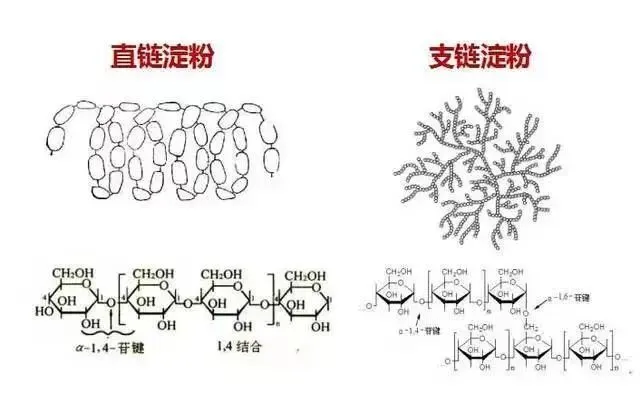 为什么南方人爱吃米粉？揭秘米粉的独特魅力与减肥秘诀  第4张