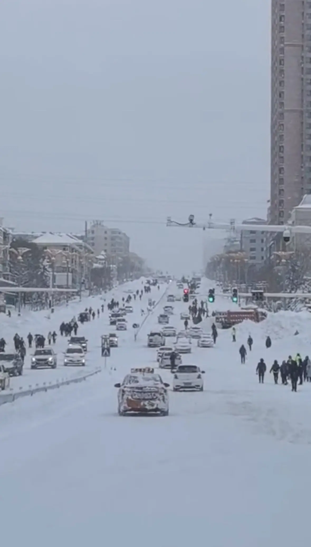 黑龙江鹤岗市遭遇特大暴雪，积雪深度达49厘米，全市停运停工应对极端天气  第1张