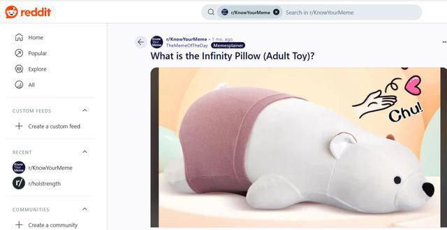 Infinity Pillow：TikTok热议的成人玩具，兼具毛绒外表与功能  第2张