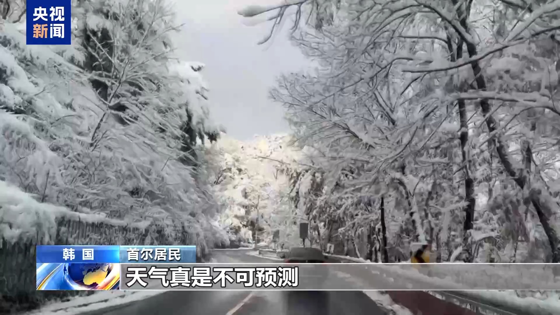 韩国首尔创11月最大降雪量纪录，居民担忧极端天气频发  第2张