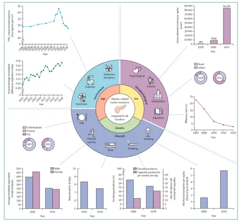 2024年中国糖尿病研究：全球健康挑战与风险因素综述  第2张