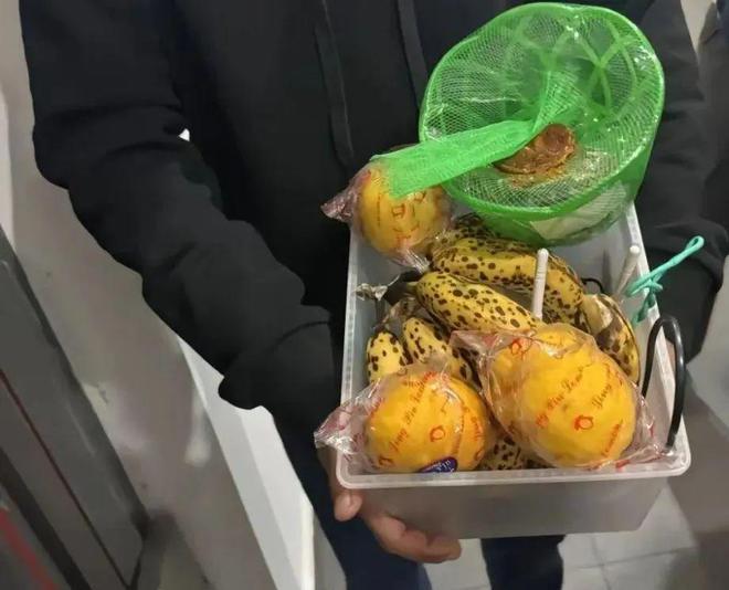 上海世外临港学校食品安全问题引家长担忧，多名学生出现呕吐腹泻  第2张
