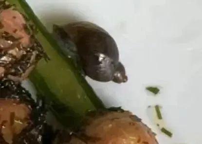 上海世外临港学校食品安全问题引家长担忧，多名学生出现呕吐腹泻  第4张
