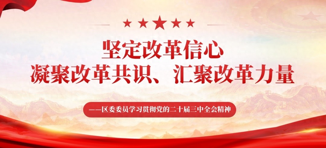 深入学习贯彻党的二十届三中全会精神，推动长三角一体化发展新篇章