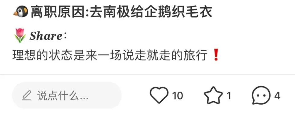 给企鹅织毛衣：从幽默到公益热潮的转变与真实性探讨  第2张