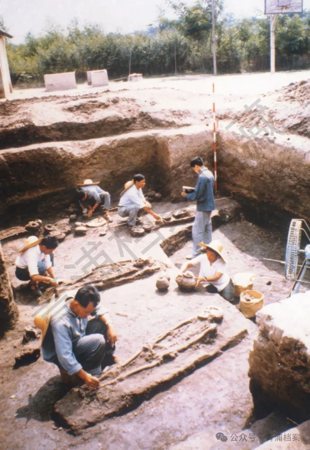 探秘上海之源崧泽文化发源地——赵巷镇的历史文化与现代发展  第3张