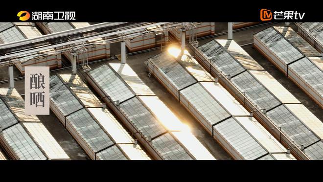 探寻中国饮食文化密码：3000年酱油演变史与创新迭代  第3张