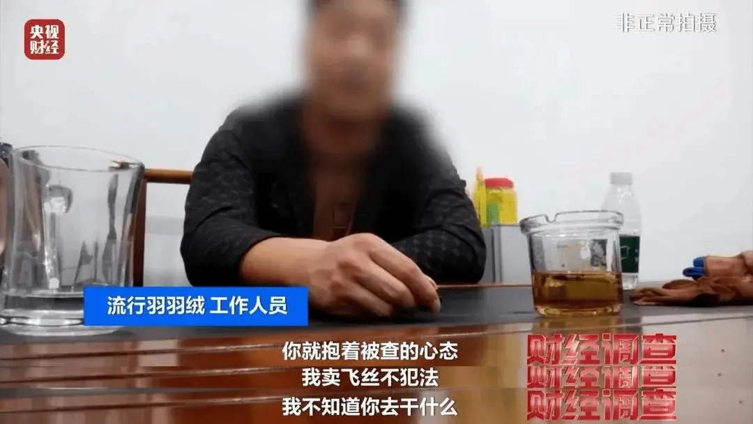 揭秘低价羽绒服背后的猫腻：90%含绒量竟是0，行业内幕曝光  第9张