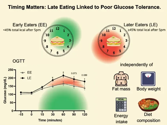 间歇性禁食（轻断食）：过午不食的抗衰老与健康益处研究  第2张