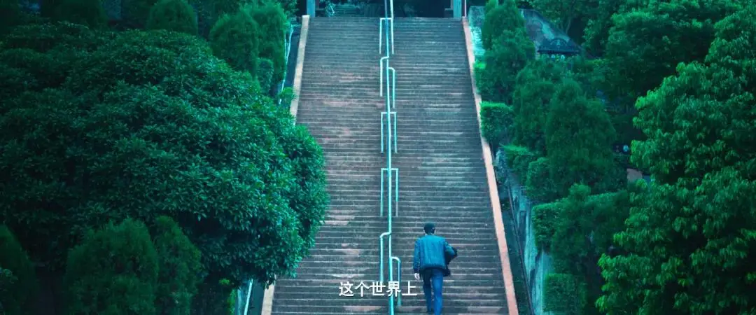 2023年国产犯罪片突破尺度天花板，坚如磐石与孤注一掷引领内地电影新风潮  第8张