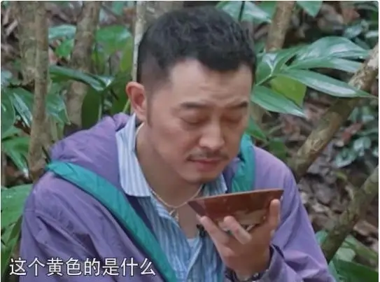 内娱综艺市场竞争激烈，现在就出发2与奔跑吧·茶马古道篇谁将引领潮流？  第4张
