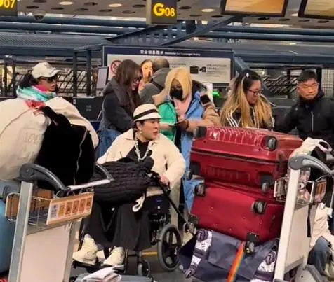 一路繁花综艺明星云集,重量级嘉宾阵容引爆期待 第13张 一路繁花综艺明星云集,重量级嘉宾阵容引爆期待 第13张